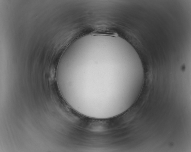 X0000116370081200912231325