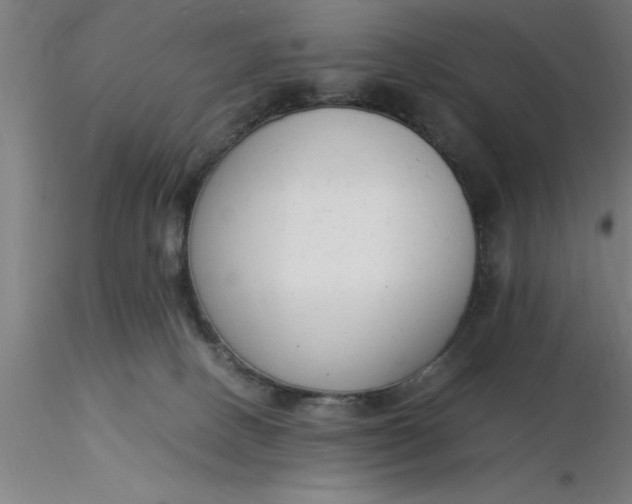 X0000116370082200912231325