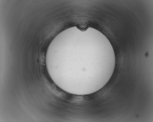 X0000116370083200912231325