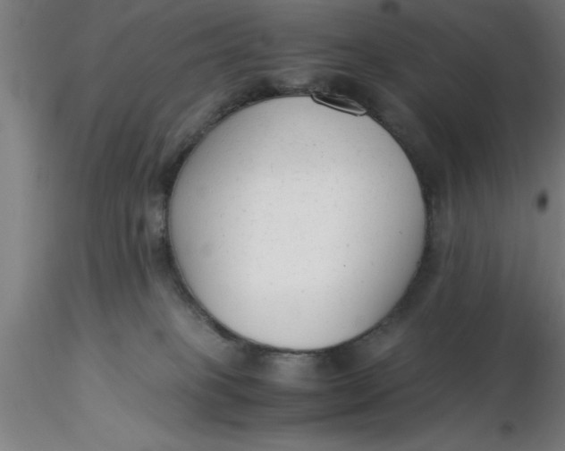 X0000116370085200912231325