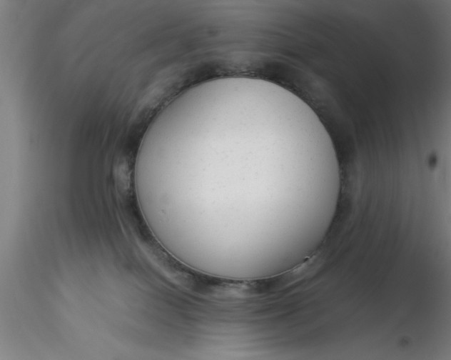 X0000116370086200912231325