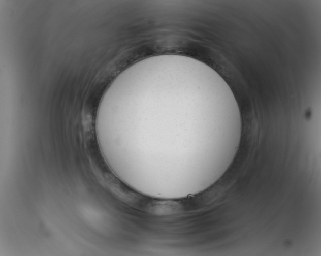 X0000116370087200912231325