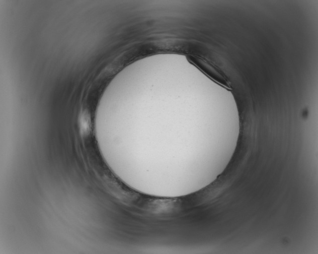 X0000116370089200912231325