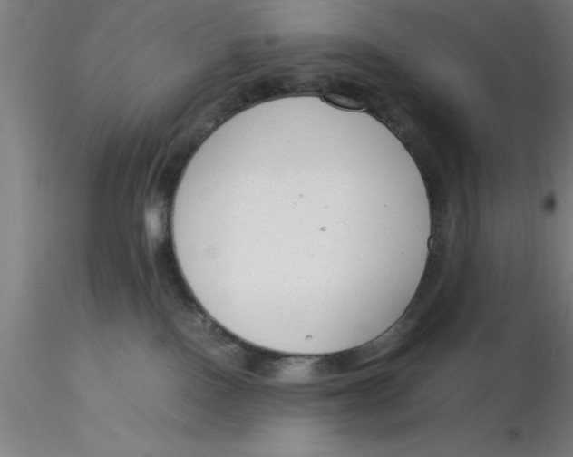 X0000116370090200912231325