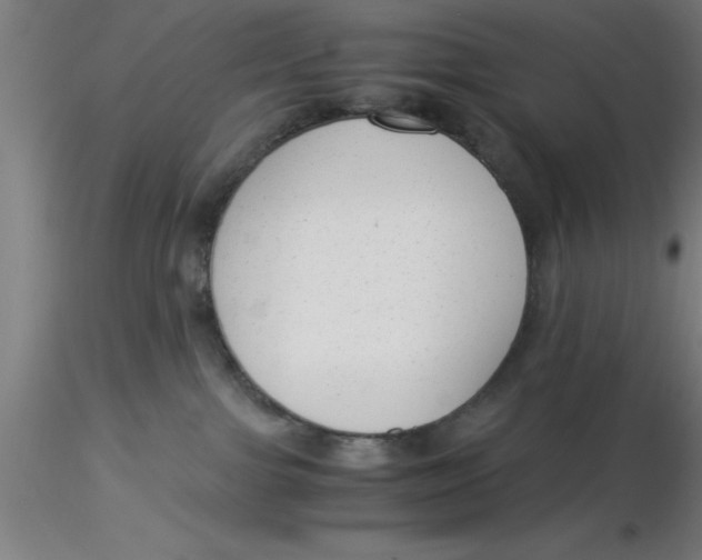 X0000116370091200912231325