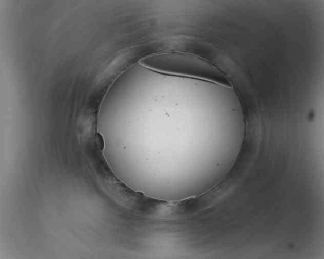 X0000116370092200912231325