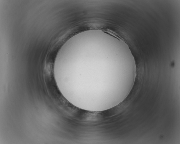 X0000116370093200912231325