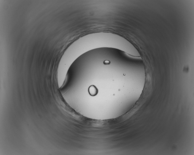 X0000116370096200912231325