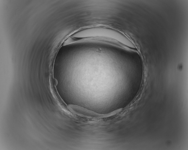 X0000116370097200912231324