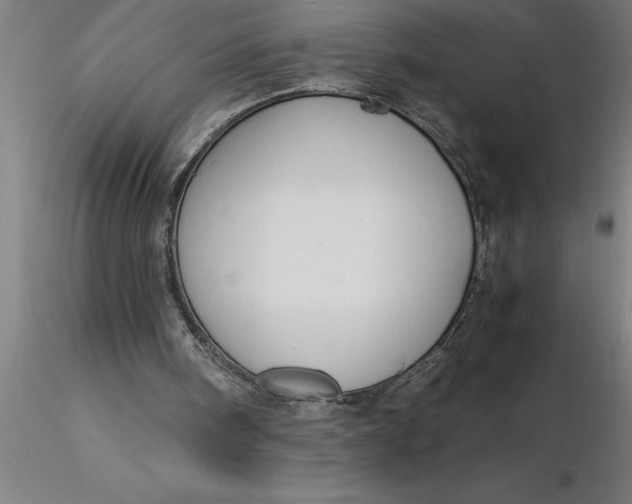 X0000116370098200912231324