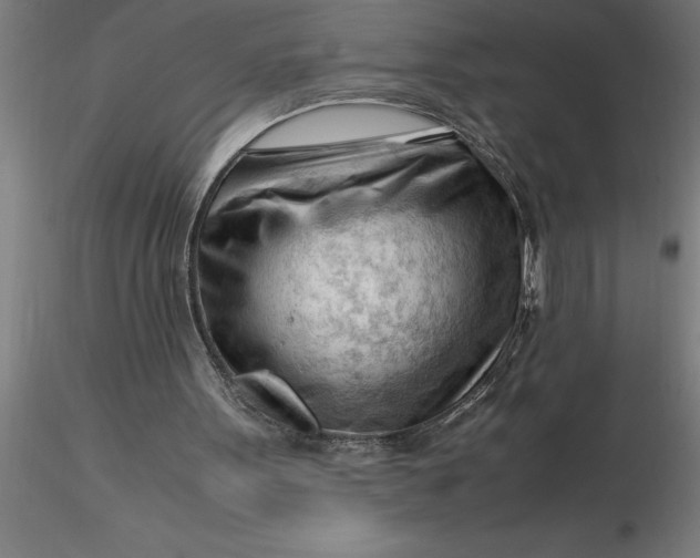 X0000116370099200912231324