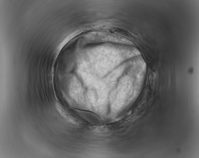 X0000116370100200912231324