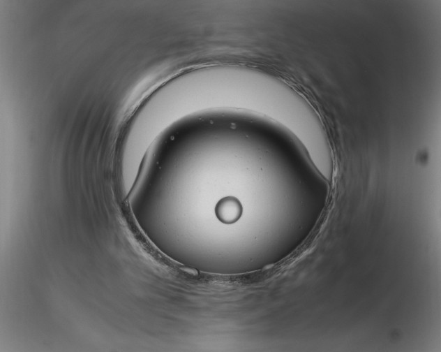 X0000116370101200912231324