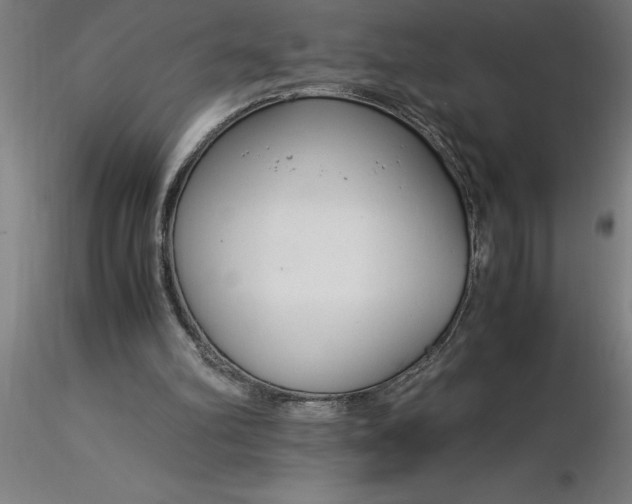 X0000116370102200912231324