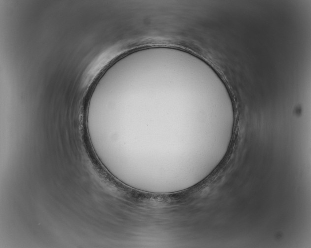 X0000116370103200912231324