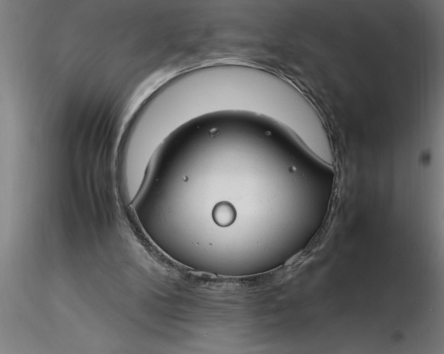 X0000116370104200912231324