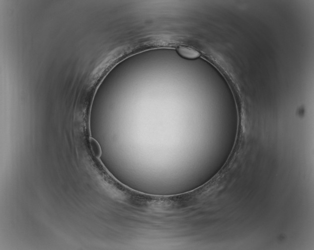 X0000116370105200912231324