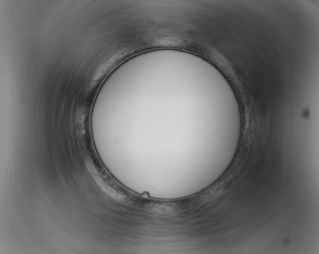 X0000116370106200912231324