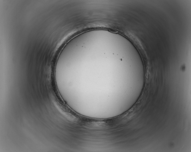 X0000116370108200912231324