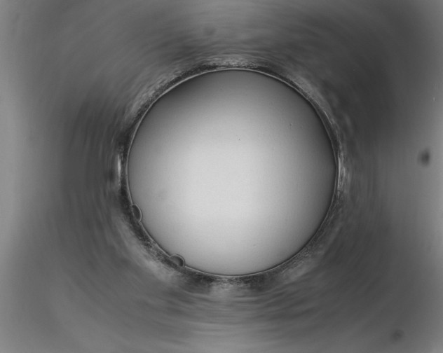 X0000116370109200912231324