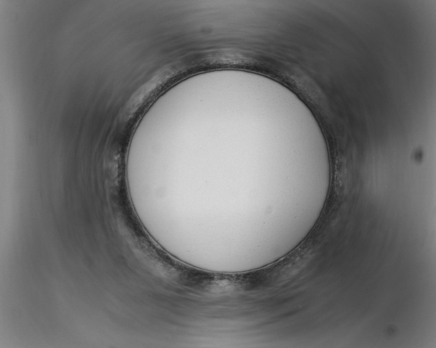 X0000116370111200912231324