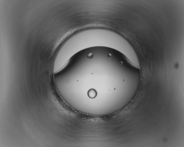 X0000116370112200912231324