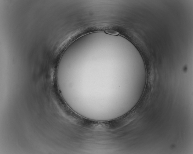 X0000116370115200912231324