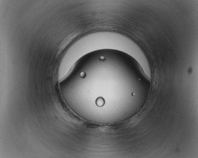 X0000116370116200912231324