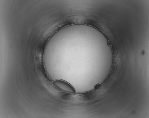 X0000116370117200912231324