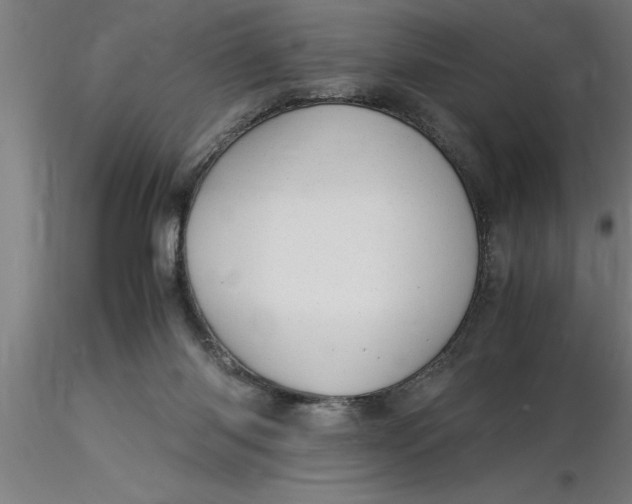 X0000116370118200912231324