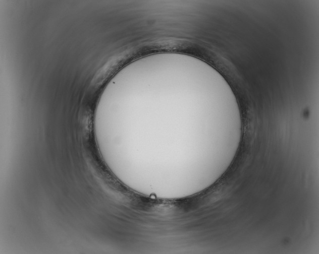 X0000116370119200912231324