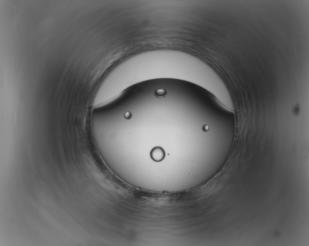 X0000116370120200912231324