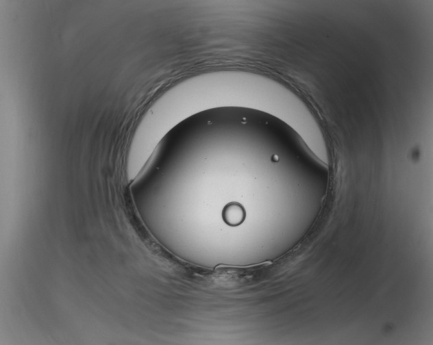 X0000116370121200912231324