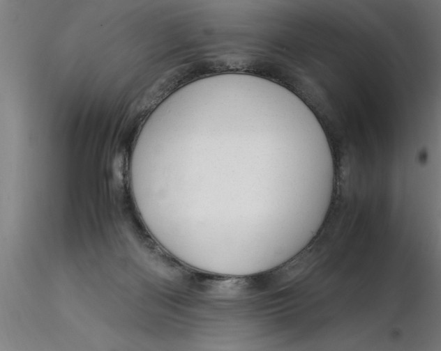 X0000116370122200912231324