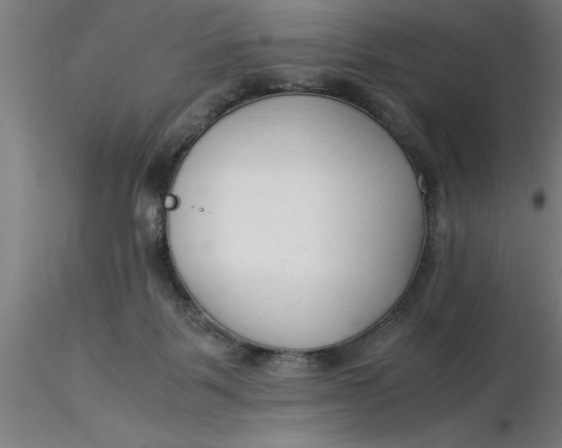 X0000116370123200912231324