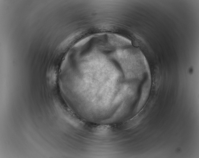 X0000116370124200912231324