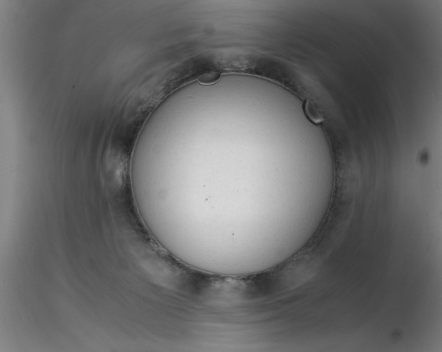 X0000116370125200912231324