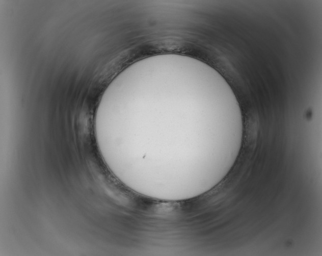 X0000116370126200912231324