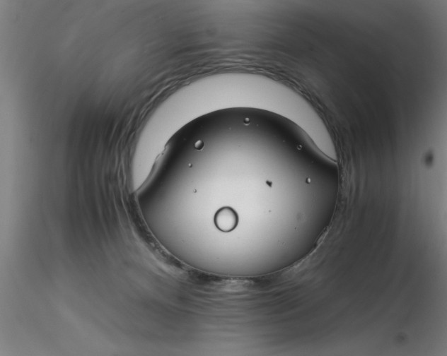 X0000116370128200912231324