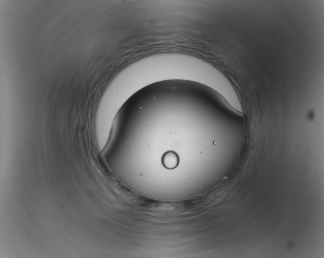 X0000116370129200912231324