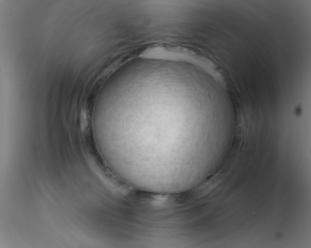 X0000116370130200912231324