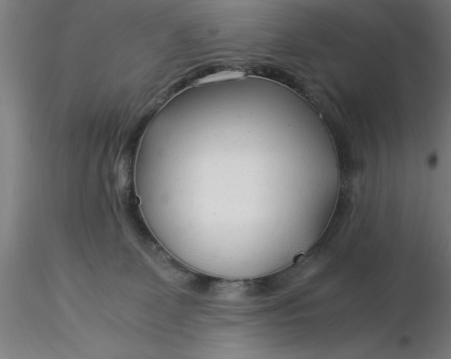 X0000116370131200912231324