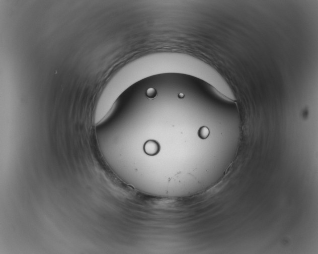 X0000116370132200912231324