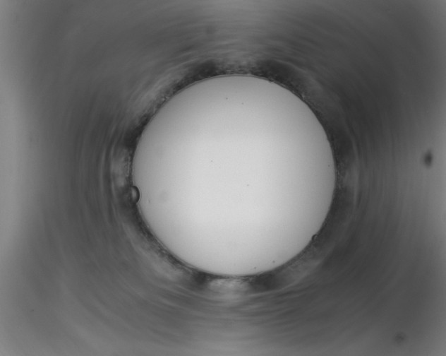 X0000116370133200912231324