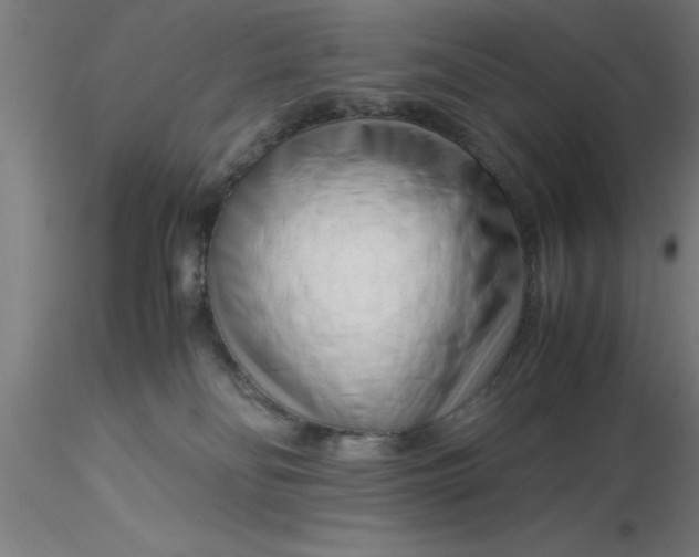 X0000116370134200912231324