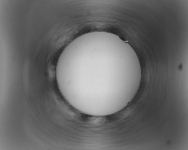 X0000116370135200912231324