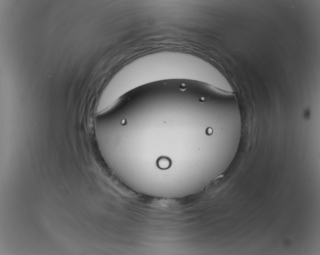 X0000116370137200912231324