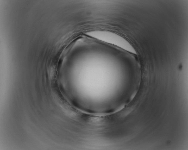 X0000116370139200912231324