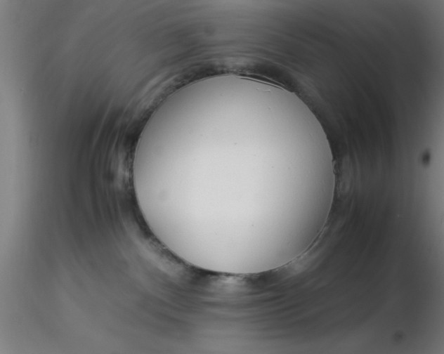 X0000116370140200912231323