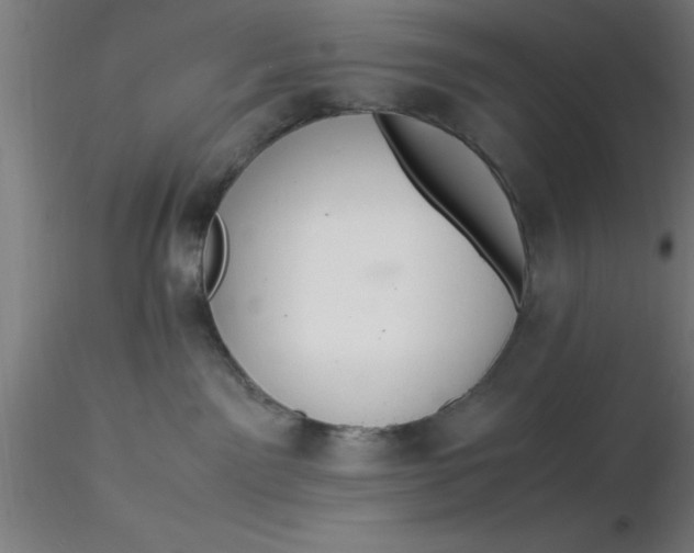 X0000116370141200912231323